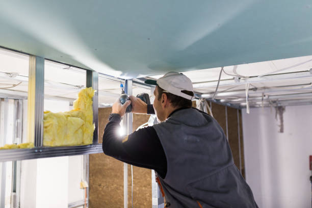 Best Insulation Installation Services in West Liberty, IA